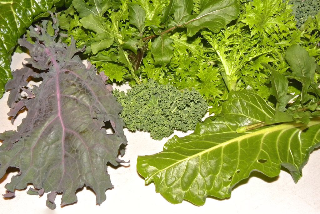 Diferentes tipos de vegetales verdes