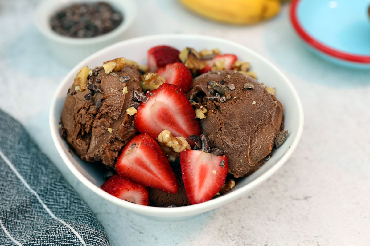 Vegan Chocolate Ice Cream